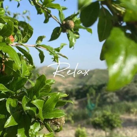 Casa Vacanze Sicilia Casteltermini Zewnętrze zdjęcie