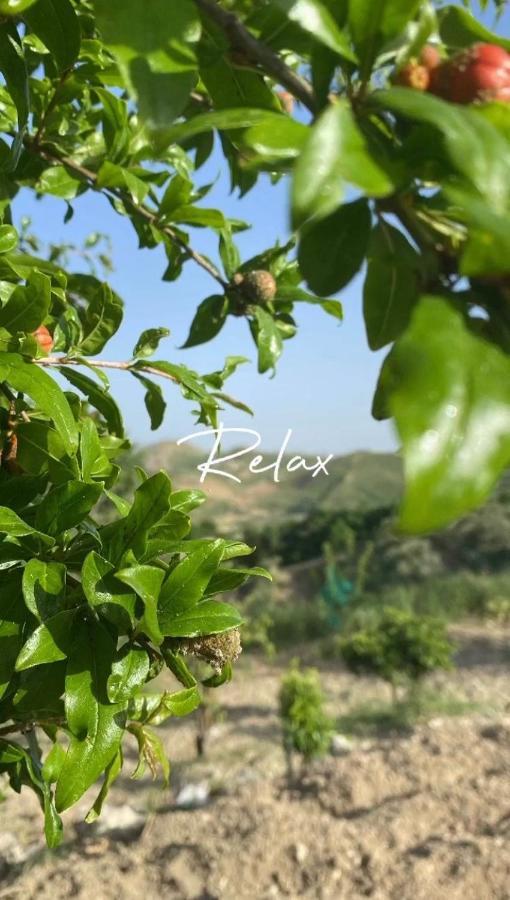 Casa Vacanze Sicilia Casteltermini Zewnętrze zdjęcie
