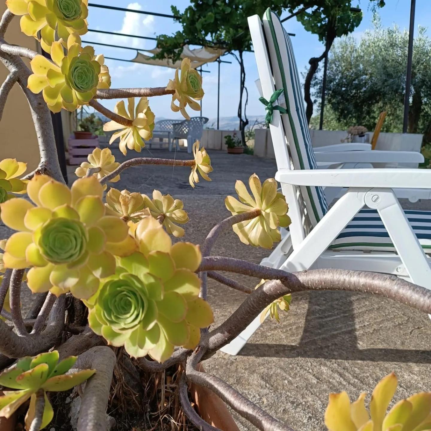 Casa Vacanze Sicilia Casteltermini Zewnętrze zdjęcie